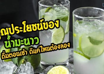 คุณประโยชน์ของน้ำมะนาว ดื่มตอนเช้า ดีแค่ไหนต้องพิสูจน์