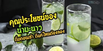 คุณประโยชน์ของน้ำมะนาว ดื่มตอนเช้า ดีแค่ไหนต้องพิสูจน์