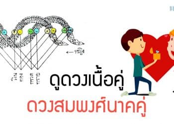 ดูดวงเนื้อคู่ ดวงสมพงศ์นาคคู่
