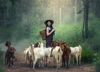 อยู่ตัวคนเดียวแบบไม่มีใคร ดีกว่าเอาคนเห็น แก่ตัวไม่มีหัวใจมาเป็นคู่ชีวิต