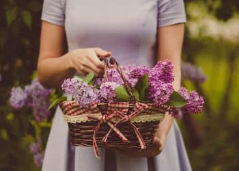 คิดบวกให้ชีวิตมีความสุข