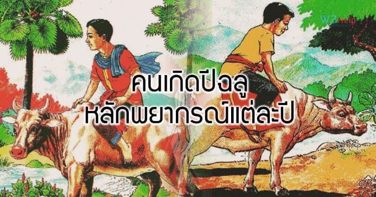 คนเกิดปีฉลู เป็นมนุษย์ผู้ชาย ธาตุดิน มิ่งขวัญสิงอยู่ที่ต้นตาล