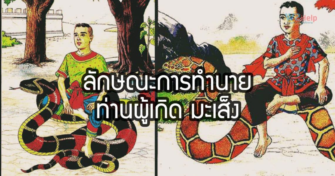 คนเกิดปี มะเส็ง - งูเล็ก