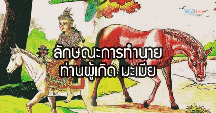 คนเกิดปี มะเมีย เป็นเทวดา